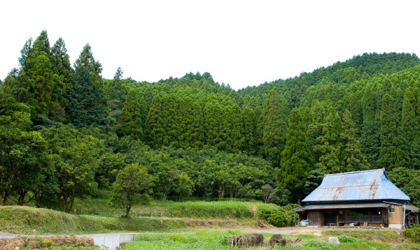 老舗粕漬屋の伝統製法⑤