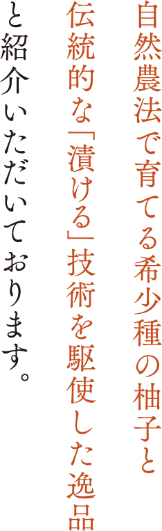 安心信頼メディア⑤